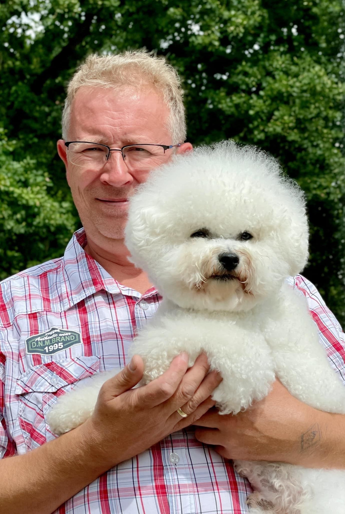 Bichon frisé, Curly-Sunshine.de