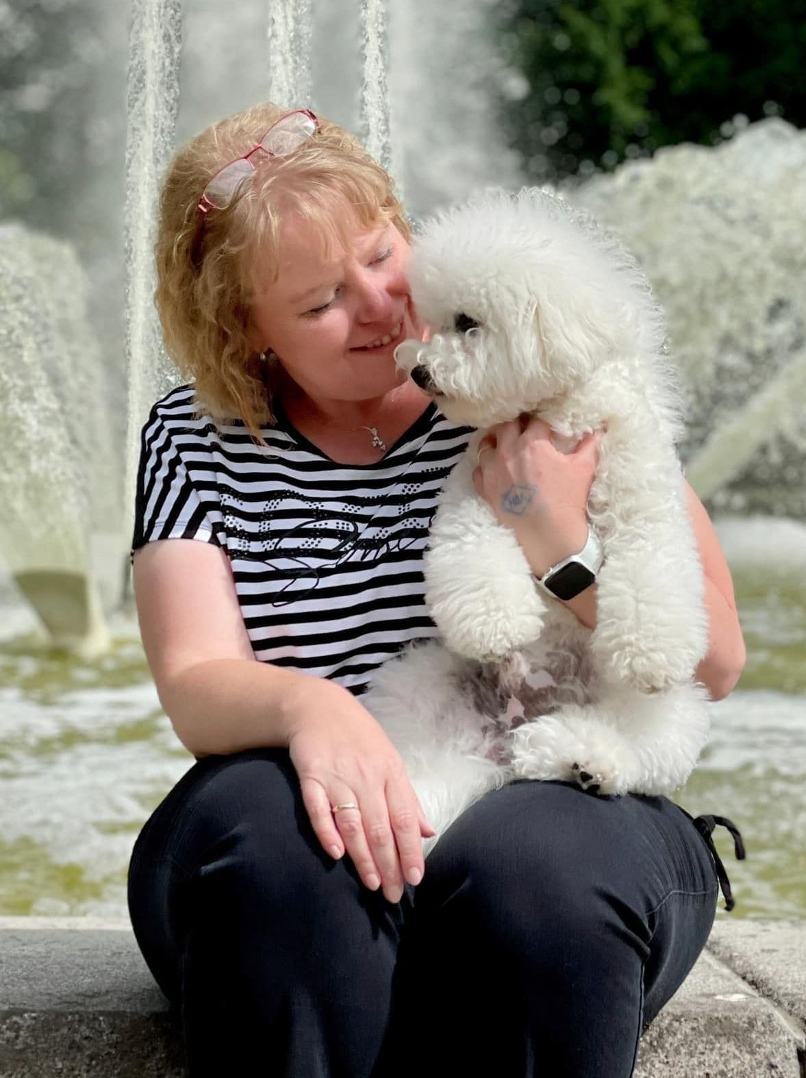 Bichon frisé, Curly-Sunshine.de