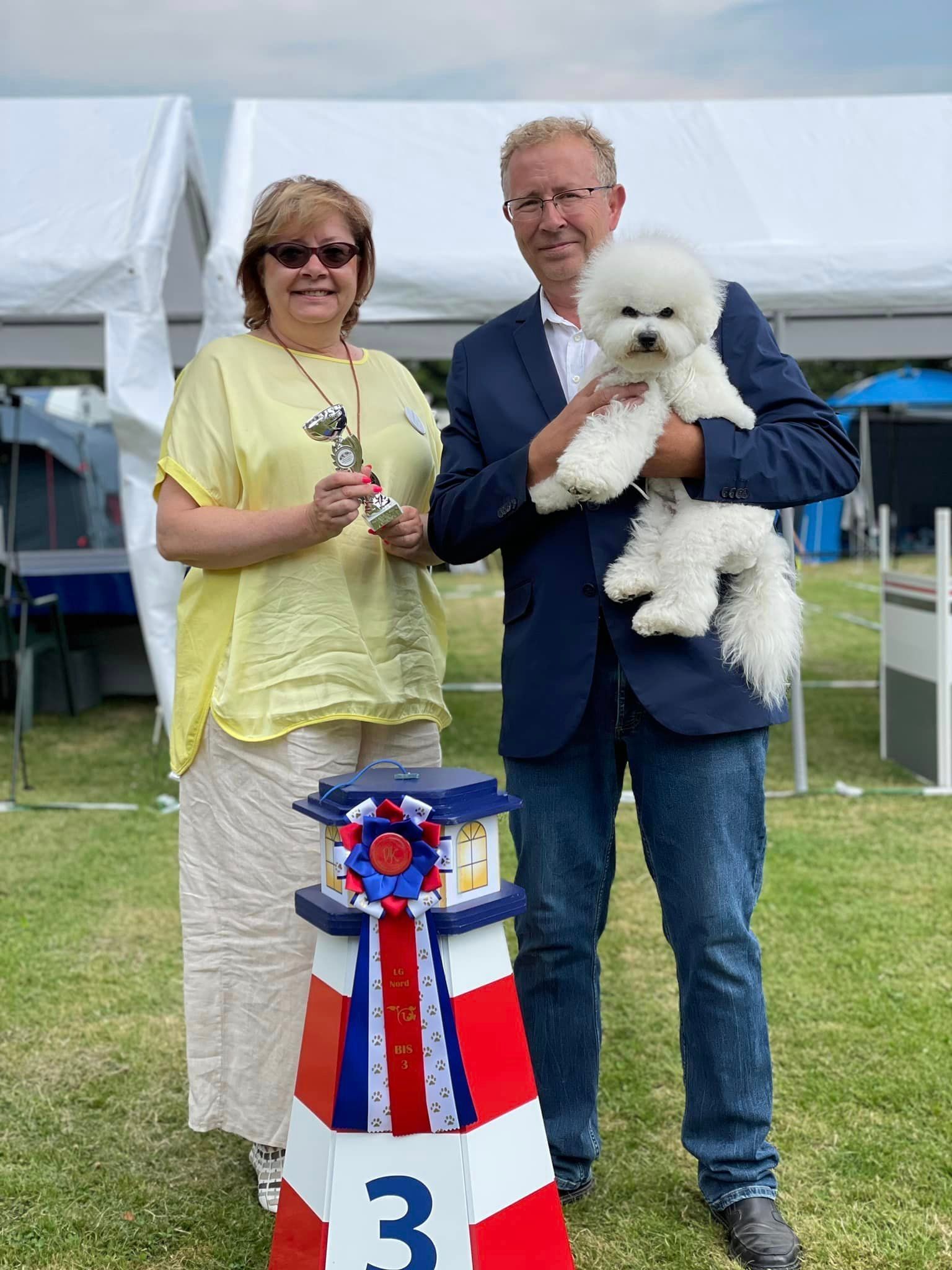 Bichon frisé, Curly-Sunshine.de