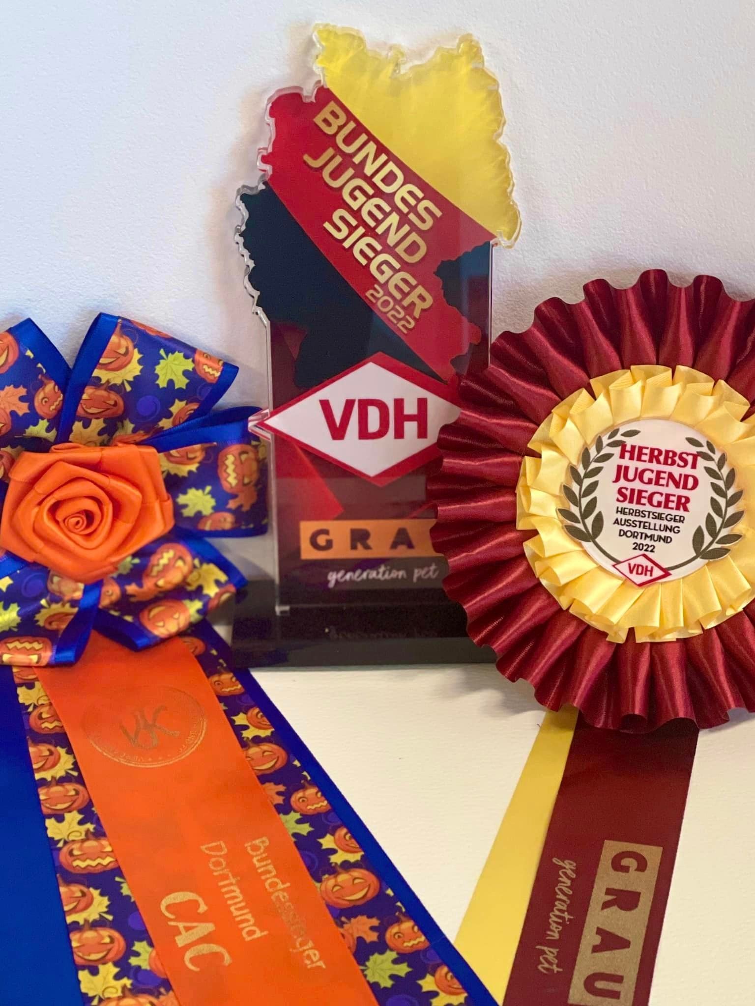 Jack, Bichon frisé, Curly-Sunshine.de