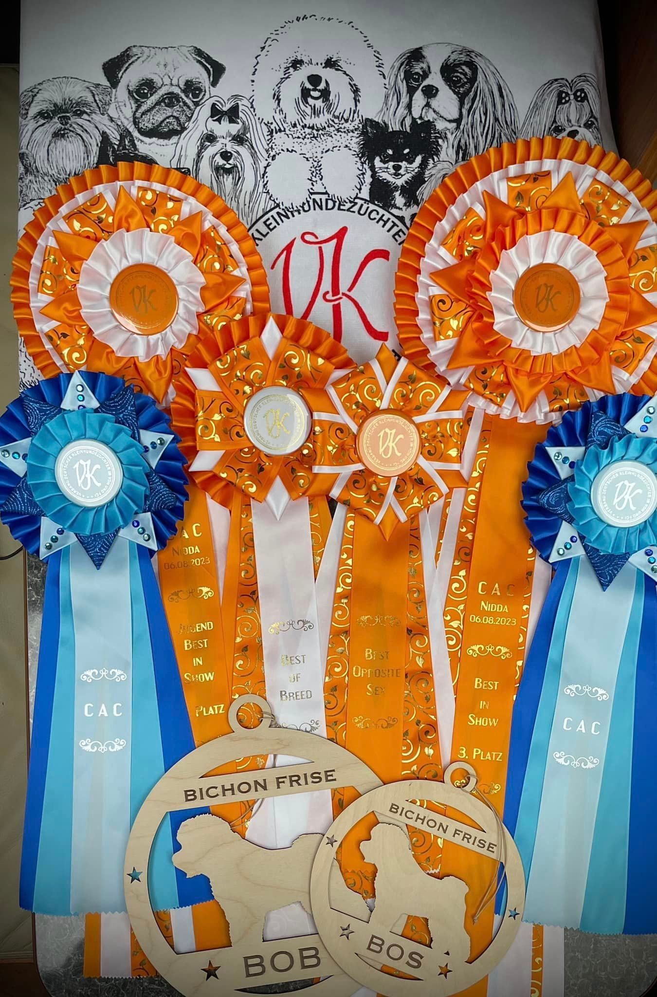 Bichon frisé, Curly-Sunshine.de