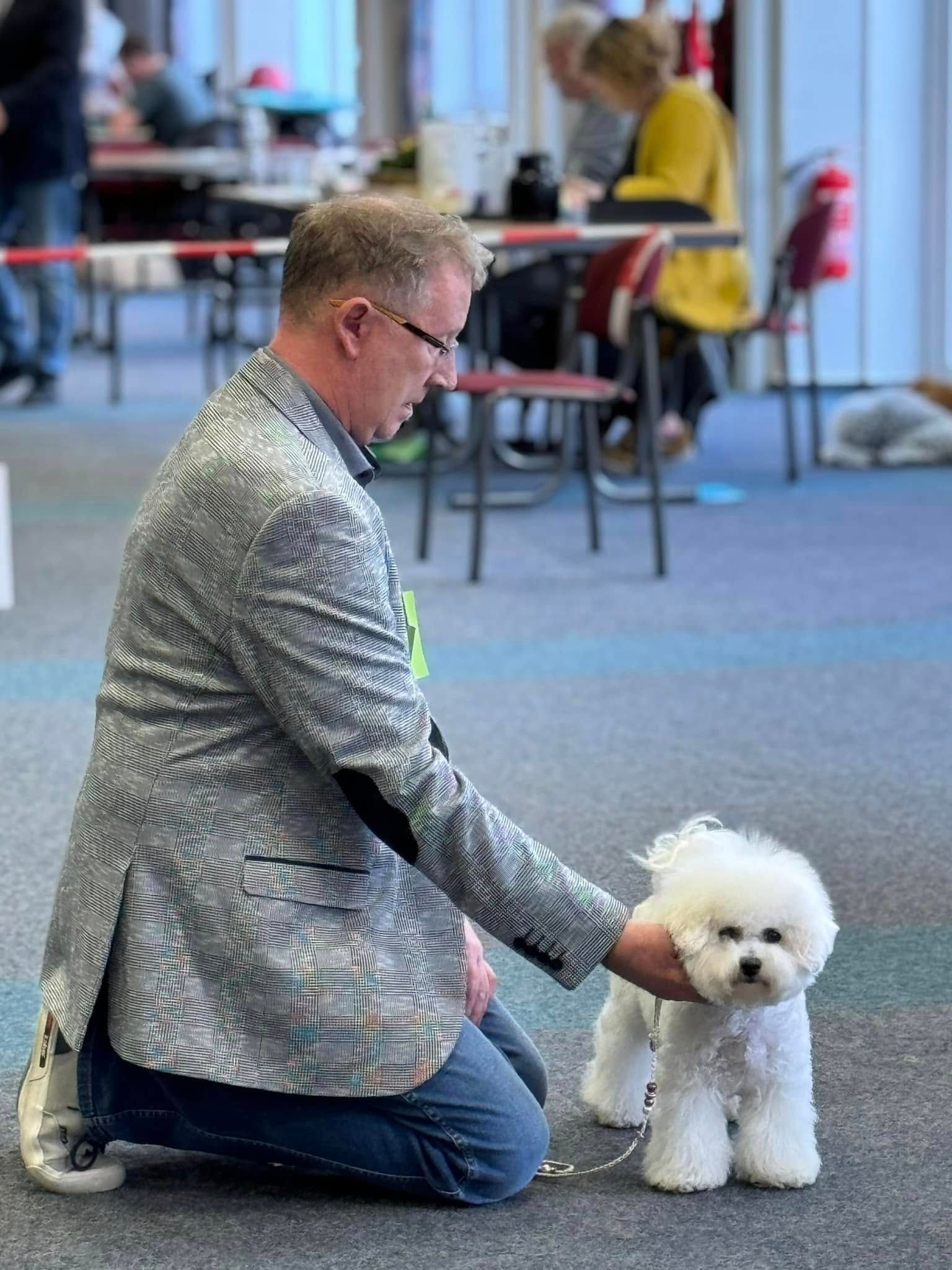 Elica und Zumba, Bichon frisé, Curly-Sunshine.de