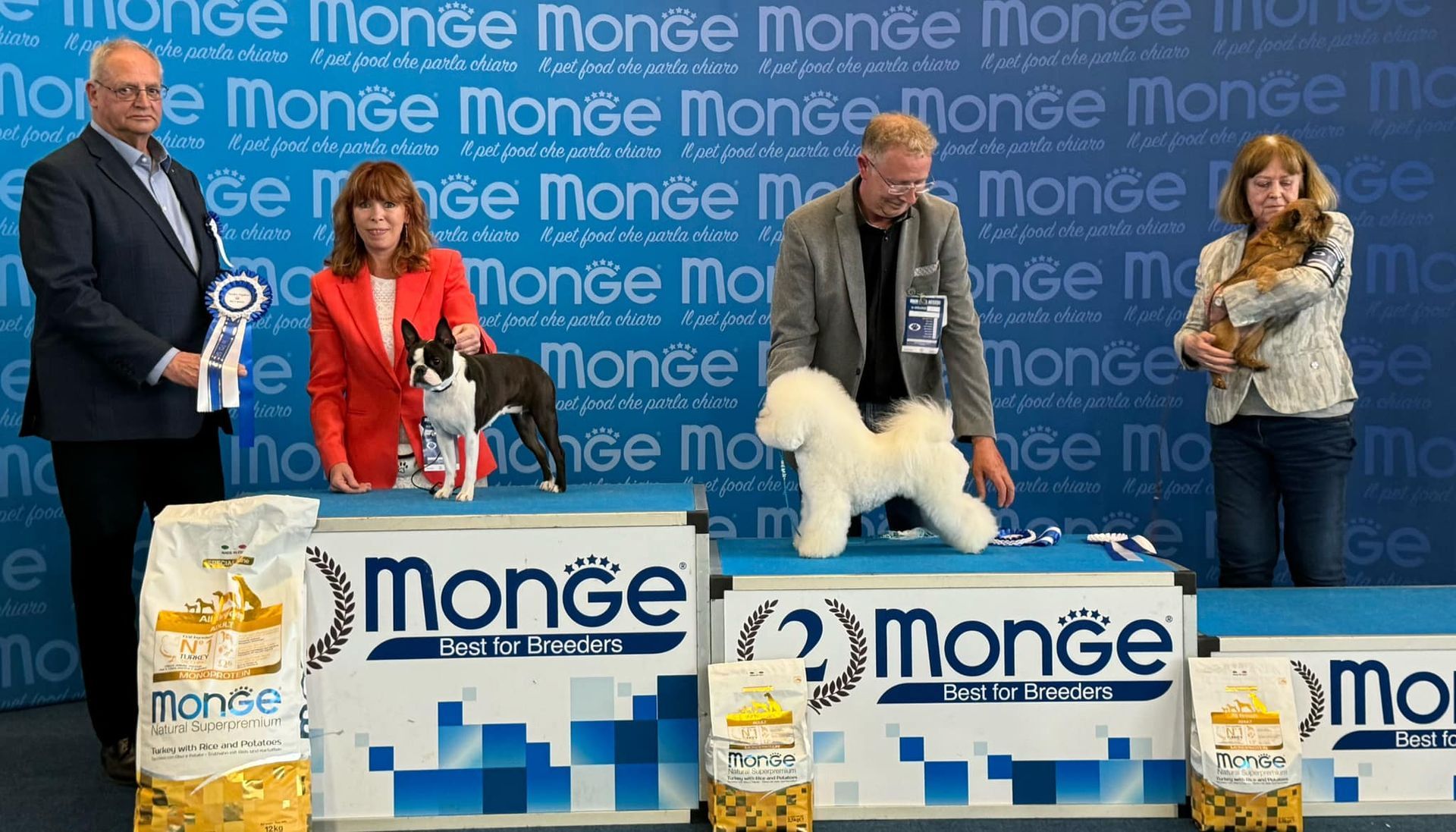 TJ, Bichon frisé, Curly-Sunshine.de