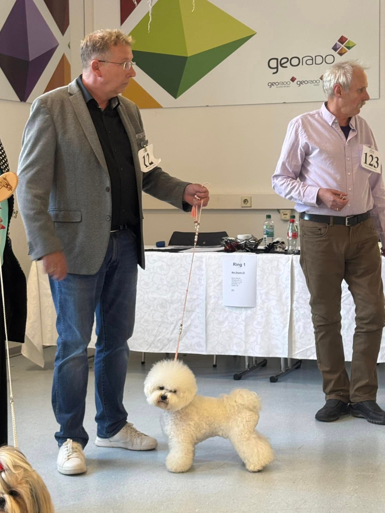 Jack, Bichon frisé, Curly-Sunshine.de