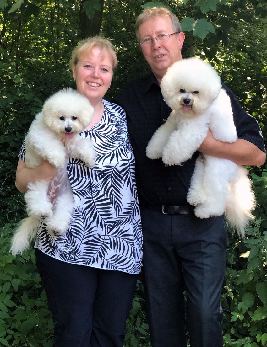 Bichon frisé, Curly-Sunshine.de