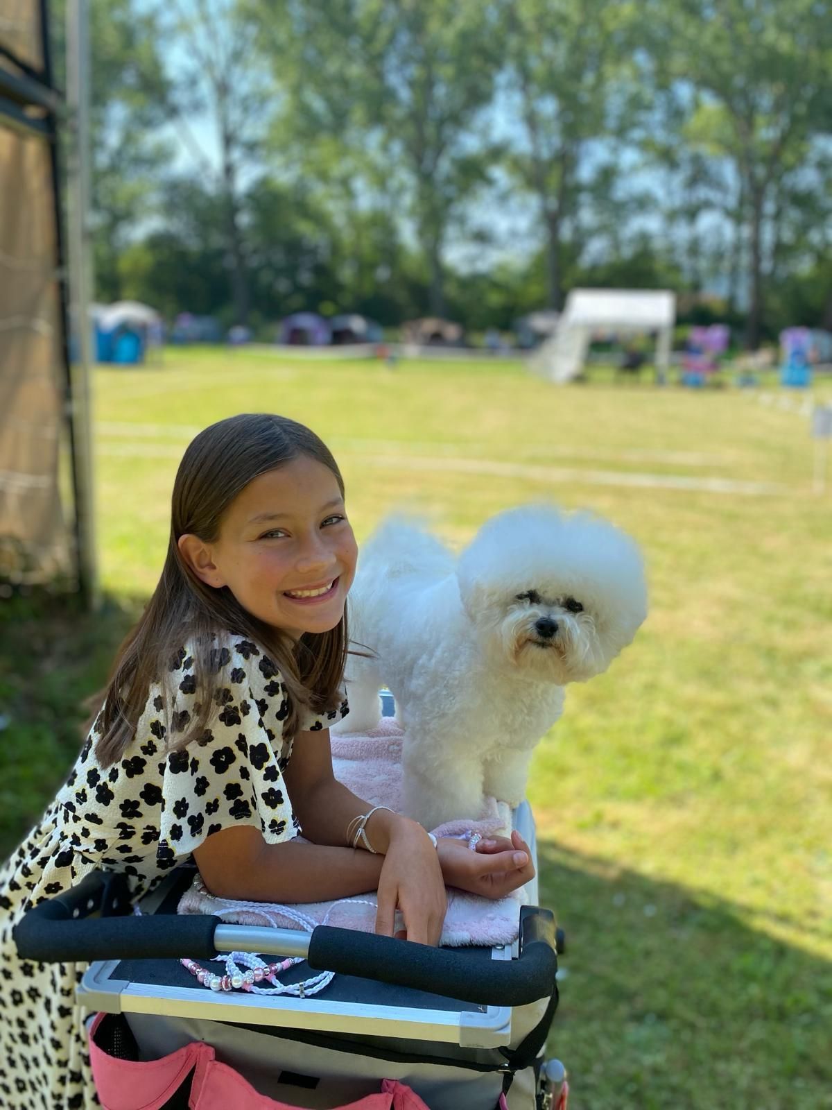 Zoe, Bichon frisé, Curly-Sunshine.de