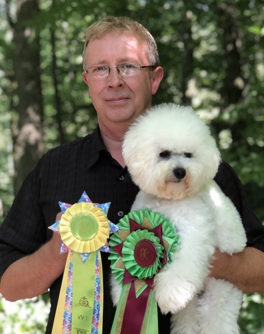 Amadeo, Bichon frisé, Curly-Sunshine.de