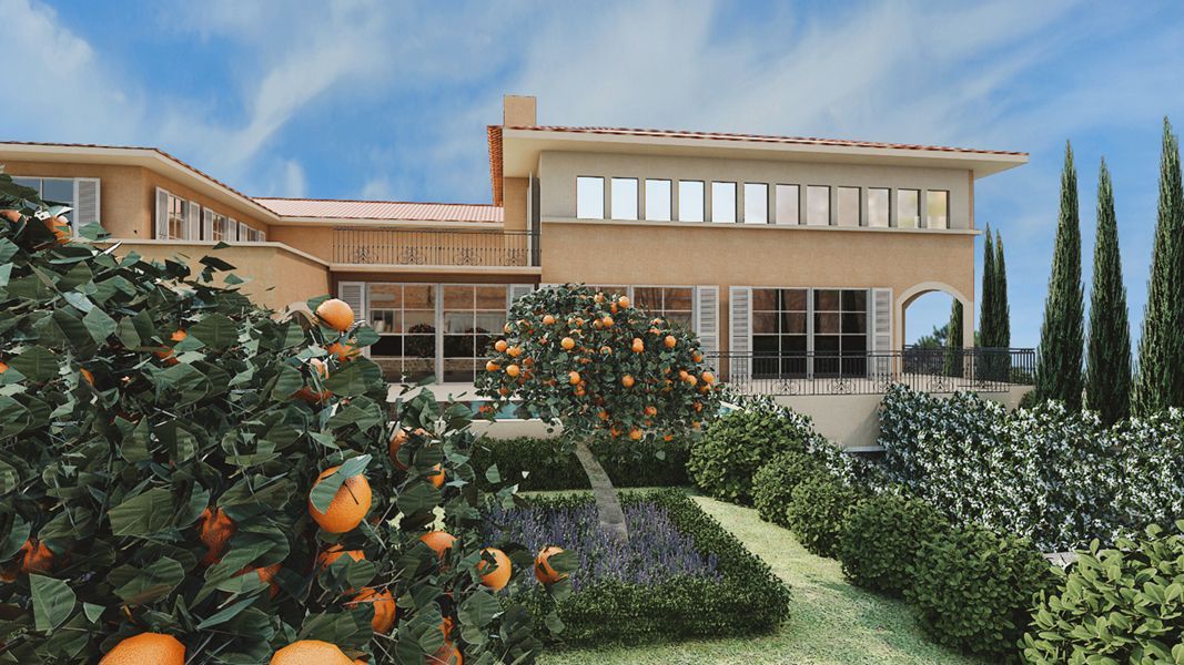 Diseño y render de proyecto de paisajismo finca naranjos