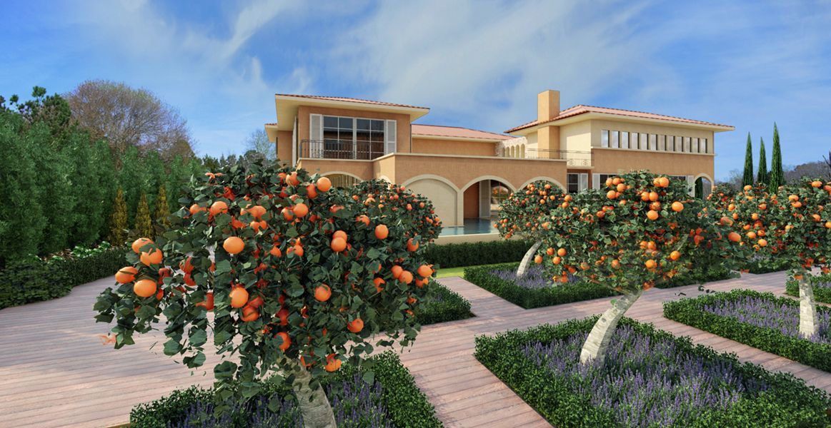 Diseño y render de proyecto de paisajismo naranjos