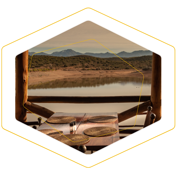 Support & Consulting1