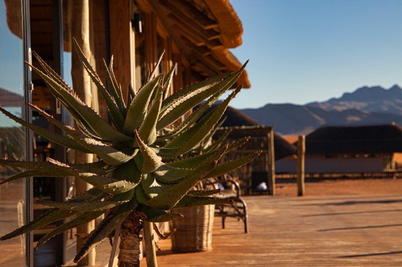 Kwessi Dune Lodge2