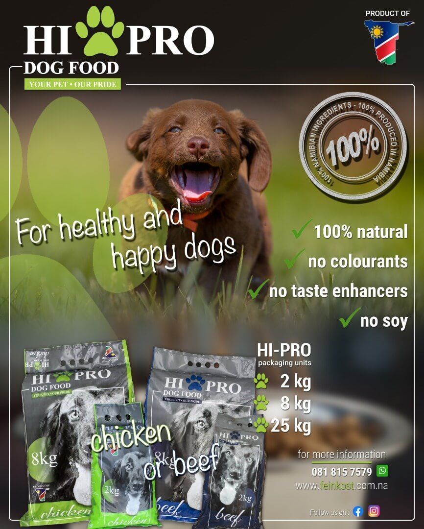 Double-sided flyer A5