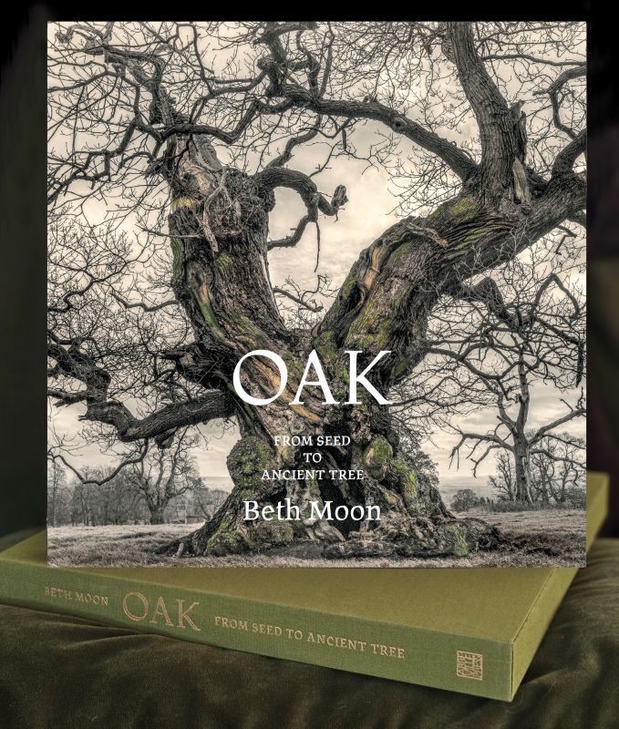 OAK by Beth Moon cover with slipcase
