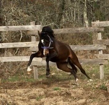 Kenavo du Fayard s'amuse
