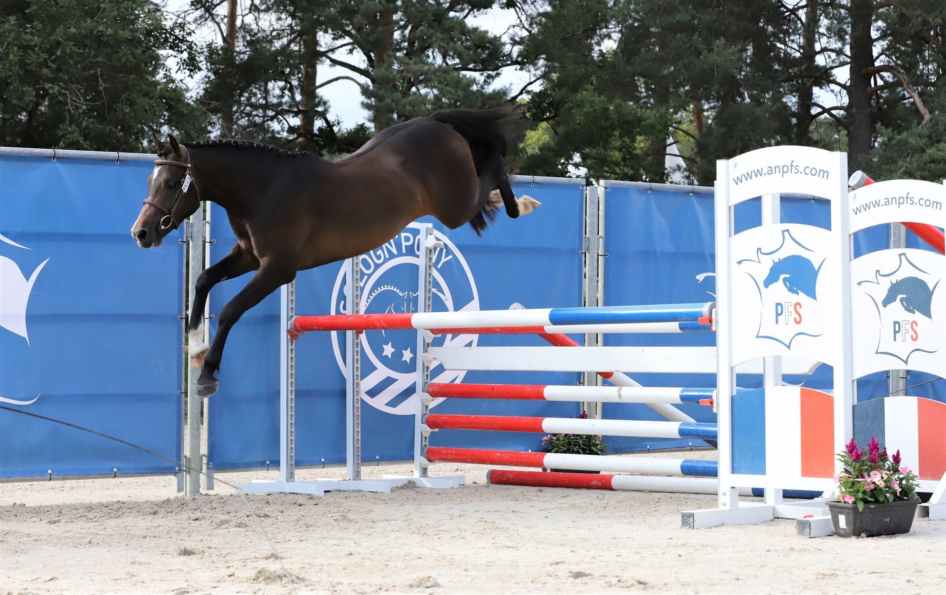 Kenavo du Fayard saut 2 à 3 ans