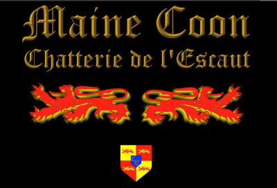 Maine Coon - Chatterie de l'Escaut_logo
