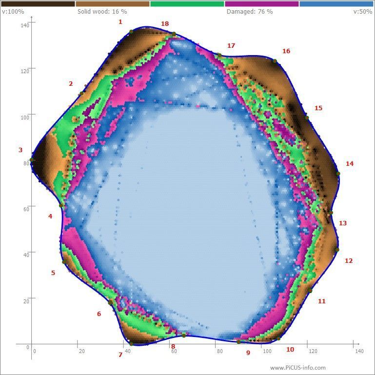 Rob Keyzor Trees, Picus, tomogram, tree decay