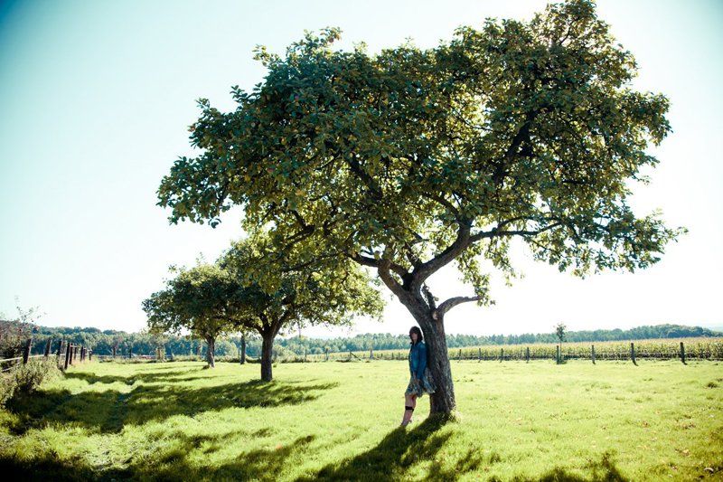 Nicole Doepner-de Boer, Heilpraktikerin (Psychotherapie), Stresstherapeutin und Hypnosetherapeutin, Foto: © Michaela Köberich Nicole Doepner-de Boer, Heilpraktikerin (Psychotherapie), Stresstherapeutin und Hypnosetherapeutin, Foto: © Michaela Köberich