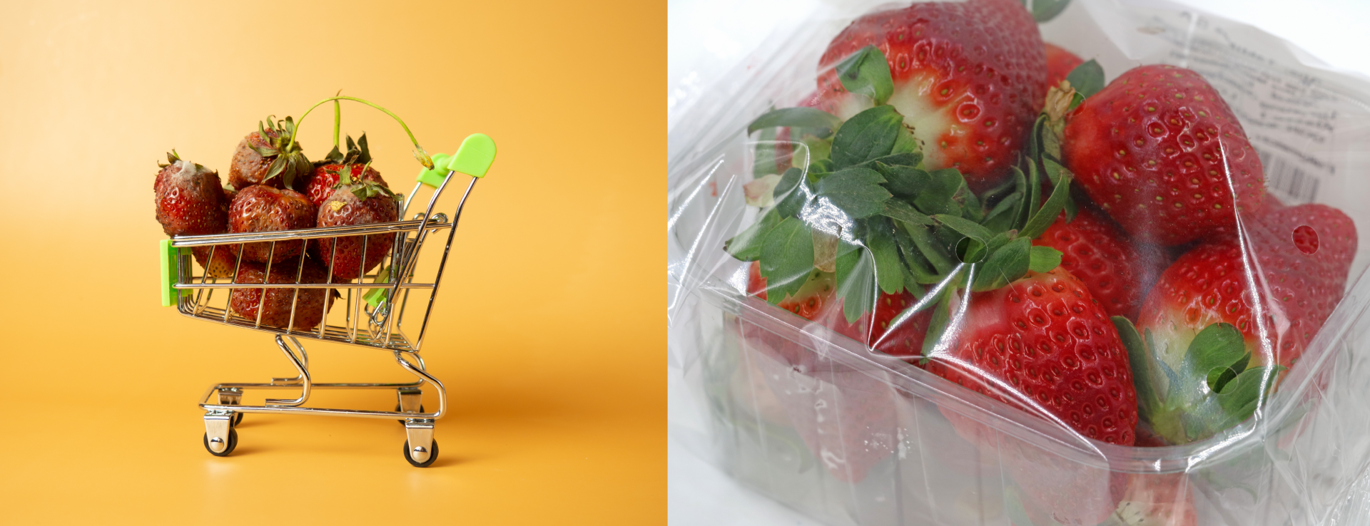decree-france-plastic-packaging-ban-fruit-vegetable
