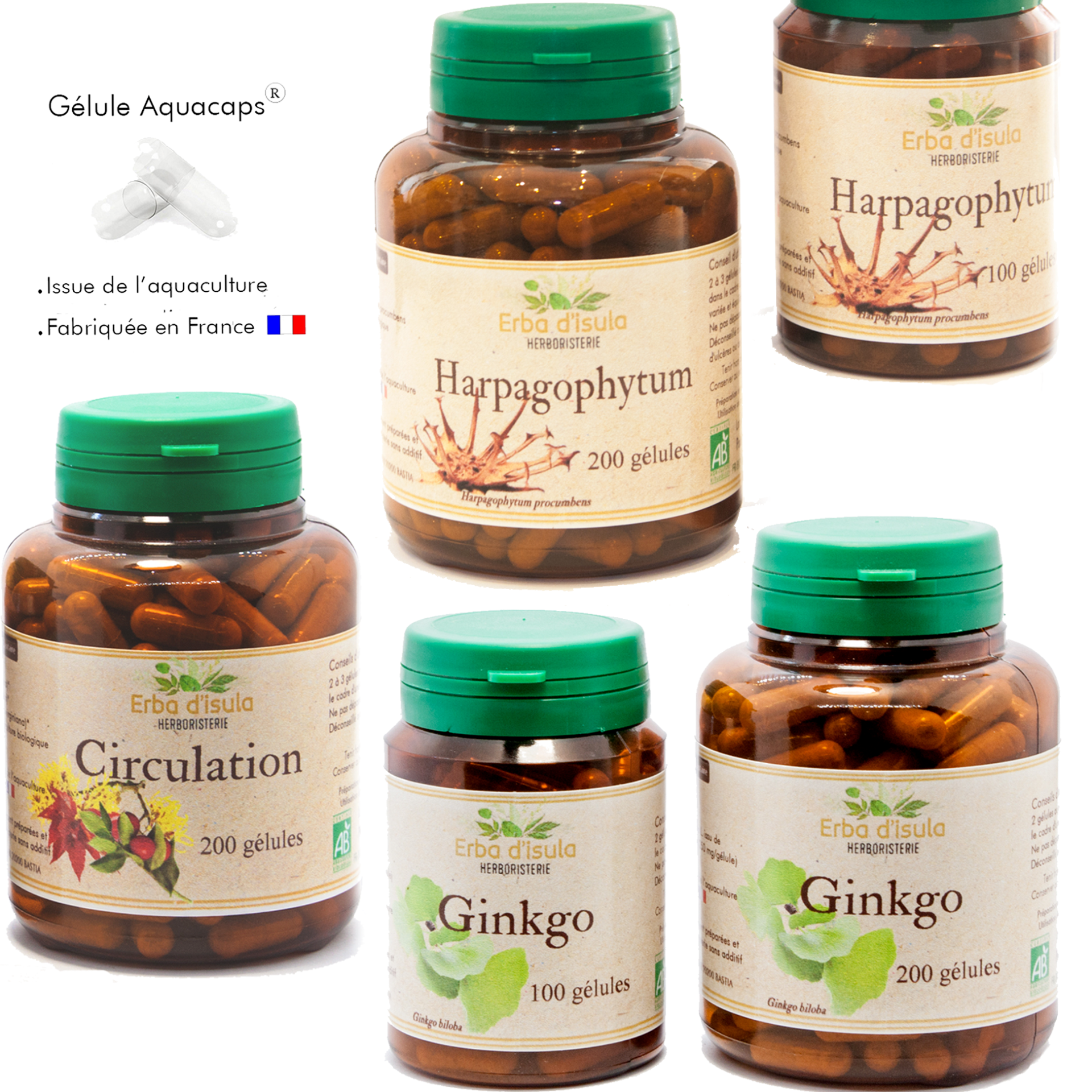 Flacons de 100 et 200 gélules d'Harpagophytum, Circulation et Ginkgo