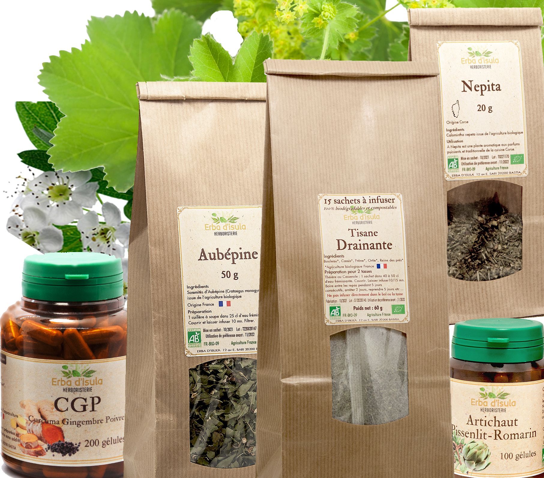 Sachets à infuser de tisane Drainante, Aubépine, Gélules de CGP et Artichaut/Pissenlit/Romarin