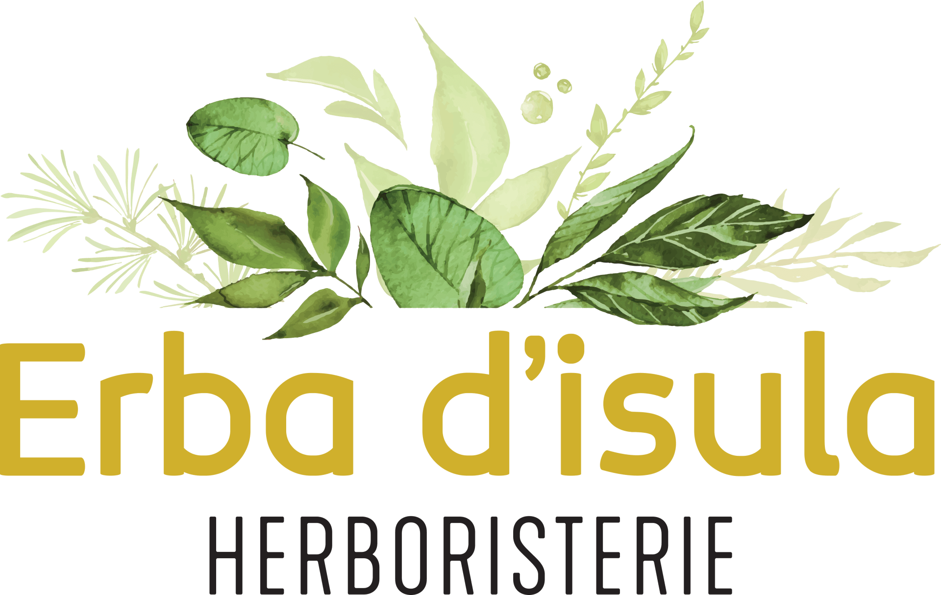 Logo Erba d'isula