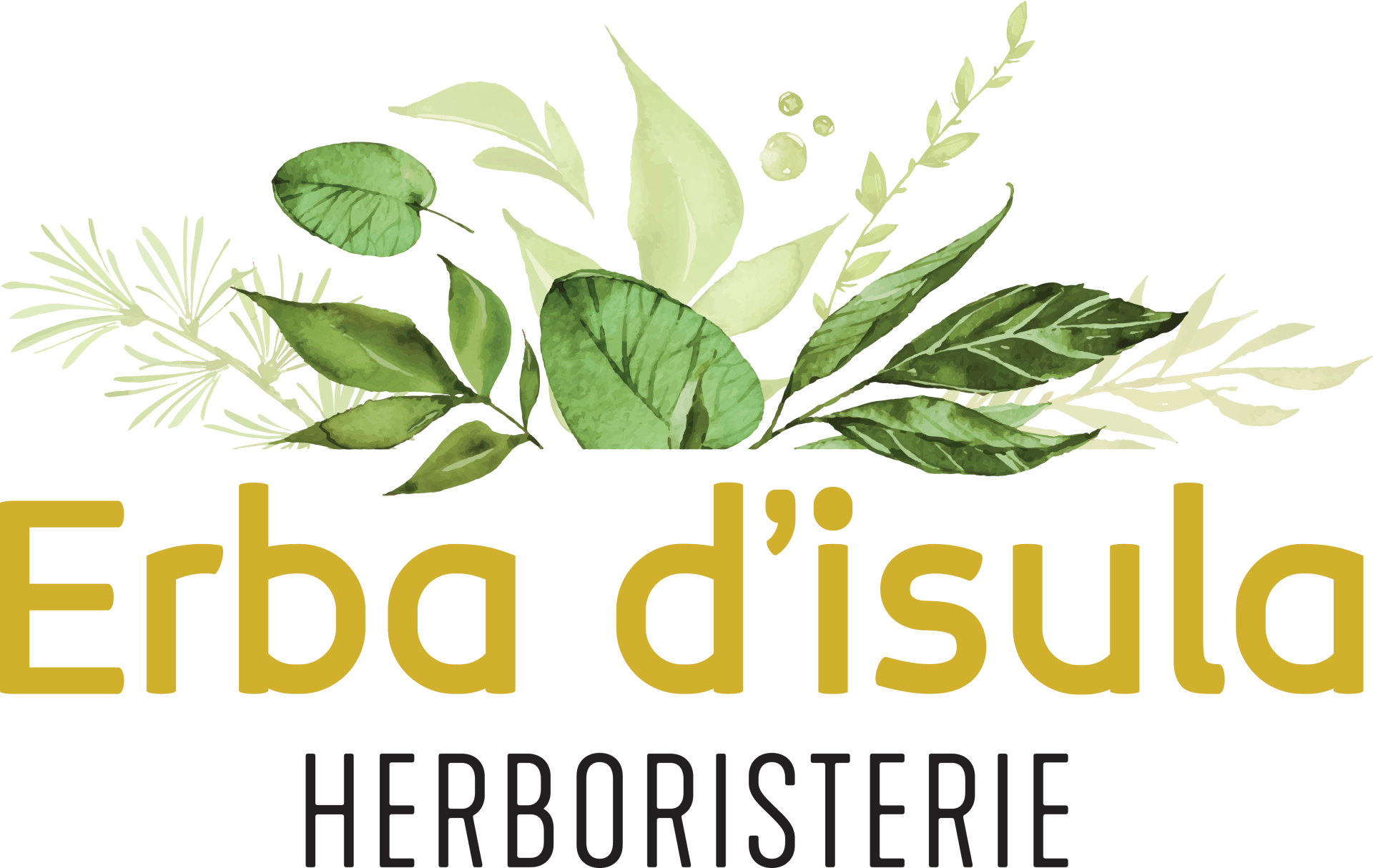 Logo Erba d'isula Logo Erba d'isula
