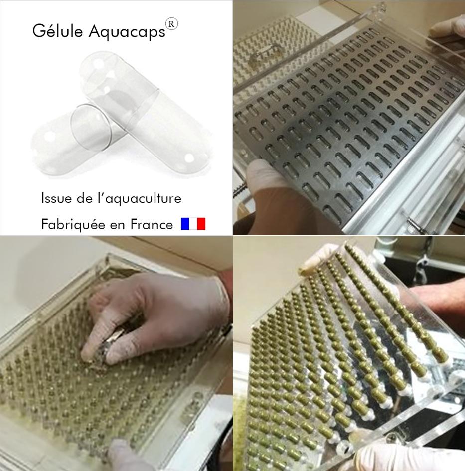 Gélulier semi manuel 200 gélules