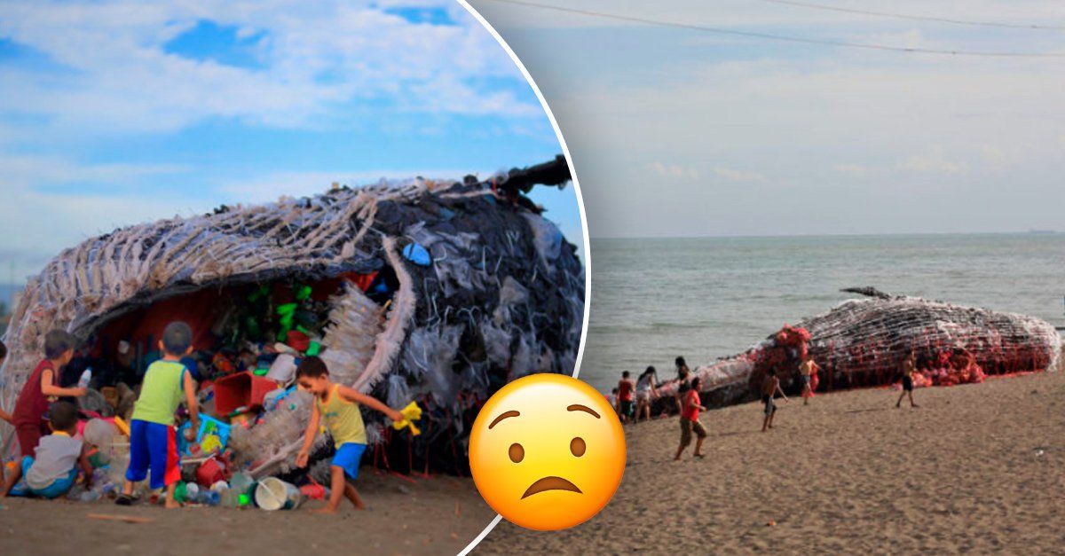 ballena muerta con plástico