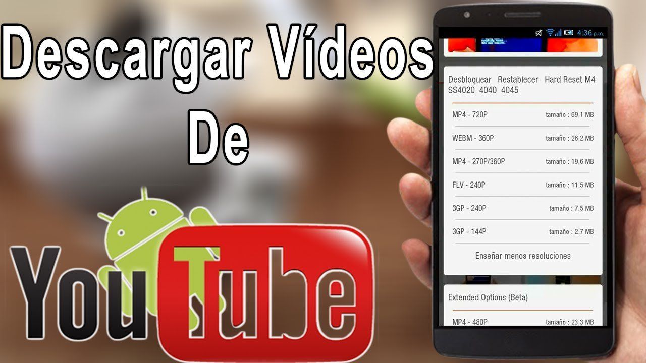 descargar videos gratis