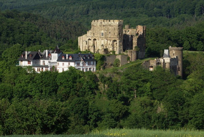 Burg Reichenberg von Süden