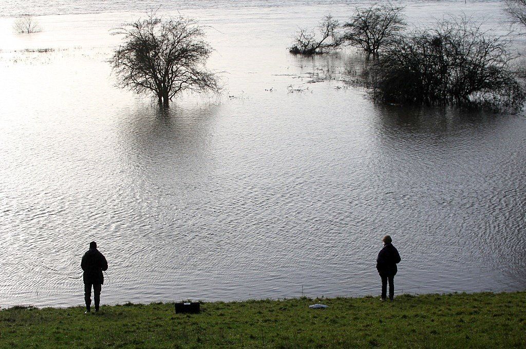 Das rechte Rheinufer