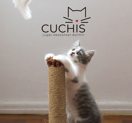 Uso Marca Gráfica Cuchis elementos para Gatos