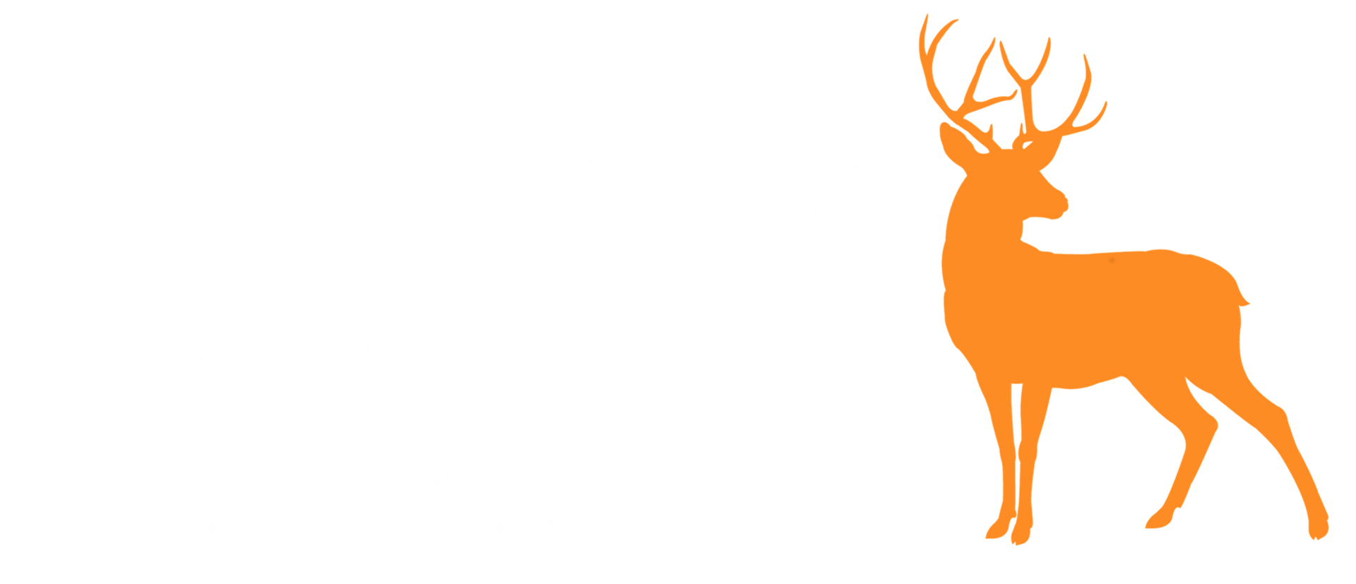 Logo BWJ