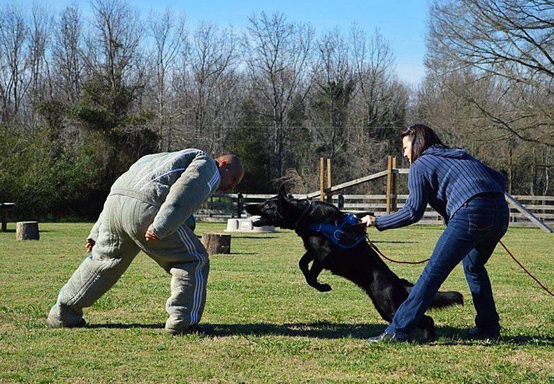 Ziva with Stefan Nadzam