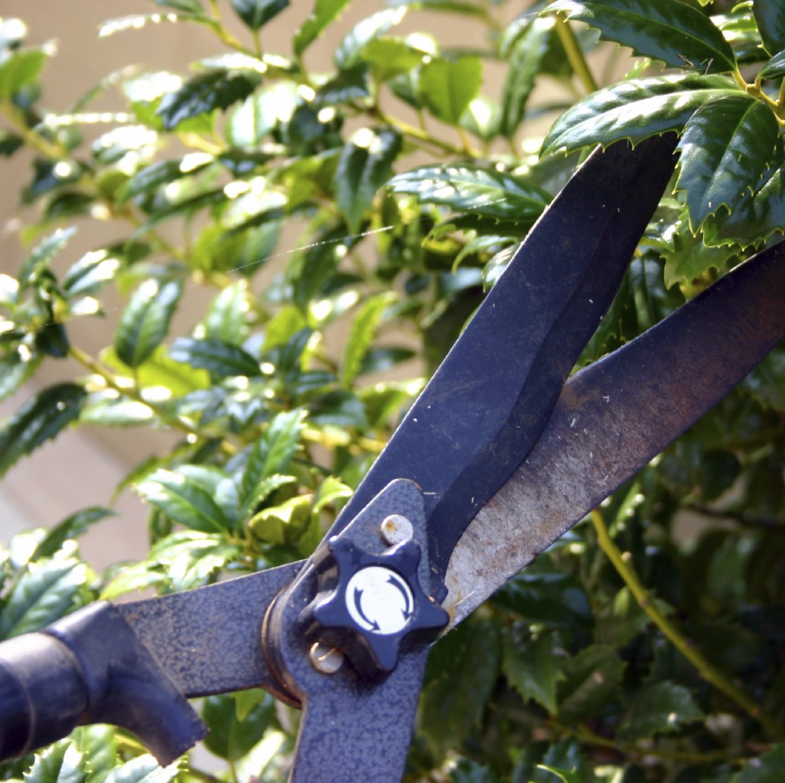 Garten- und Landschaftsbau