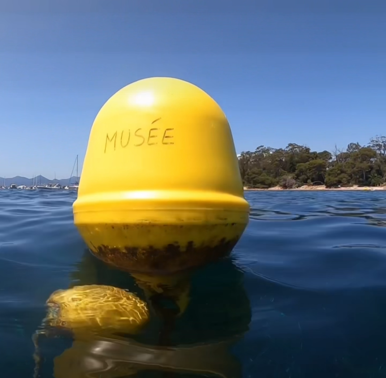 L’Éco-Musée Sous-Marin de Cannes : une excursion magique avec Locboat