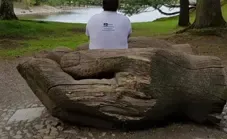 More Services Performed By Zener Engineering Services Ltd