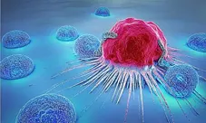 Cancer Cell