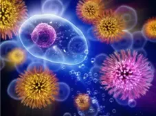 Viable Spores Which Need To Be Removed by a Decontamination Process, Validated by Zener Engineering Services