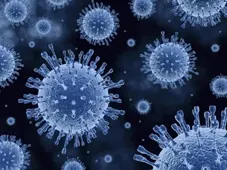 Decontamination of Virus Decontamination of Virus