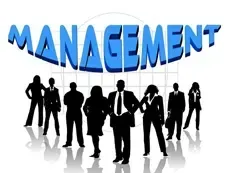 Why Senior Management Ask For Help