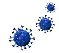Viable Spores Removed By A Validated Process From Zener Engineering Services Ltd Viable Spores Removed By A Validated Process From Zener Engineering Services Ltd