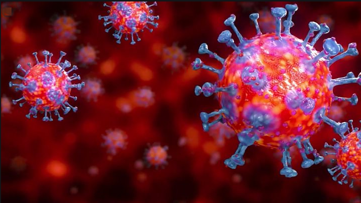 Corona Virus