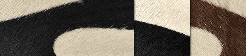 F6 Cow Hides Wildlife Cow Hides Wildlife