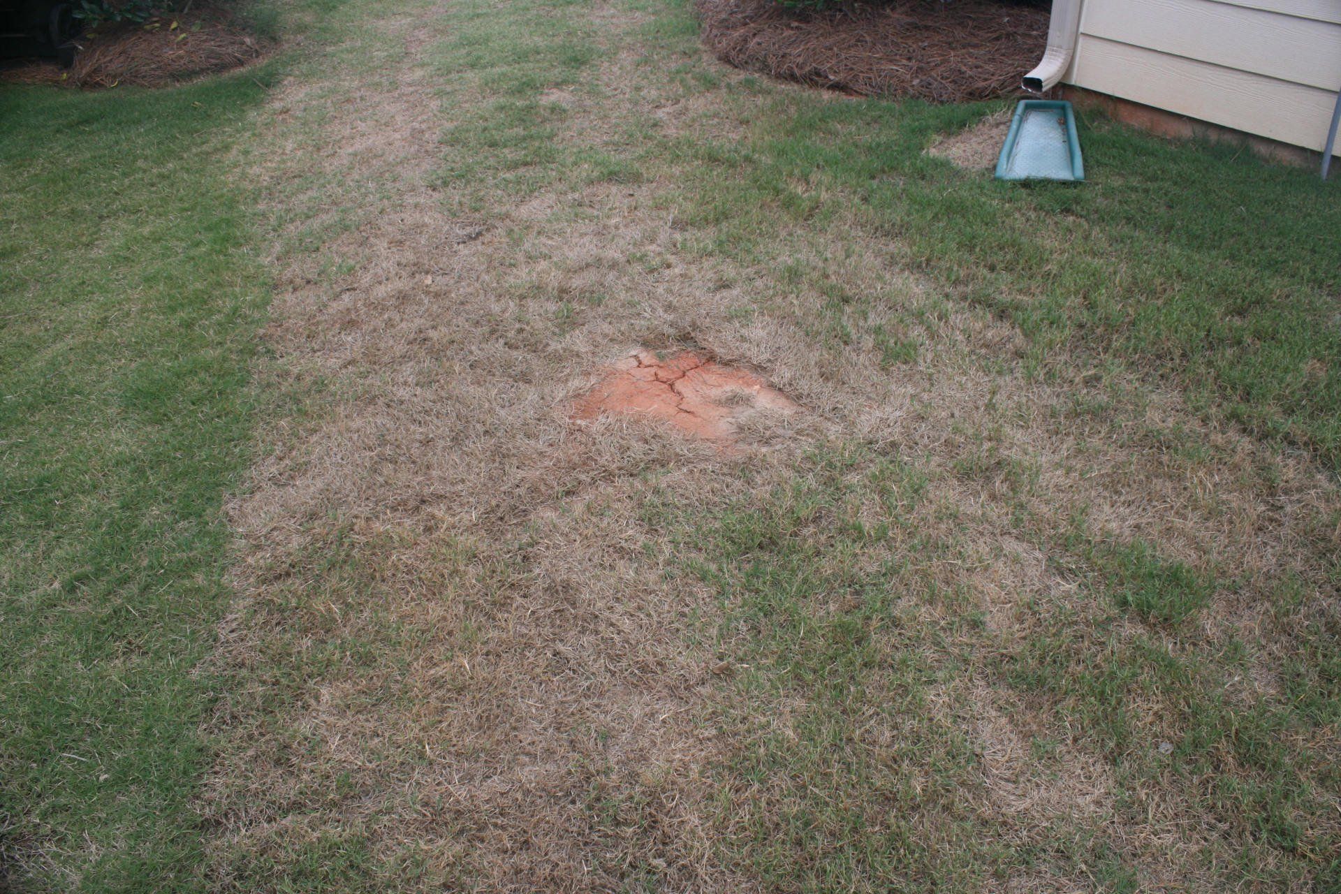 This photo shows an area uncovered by sod.