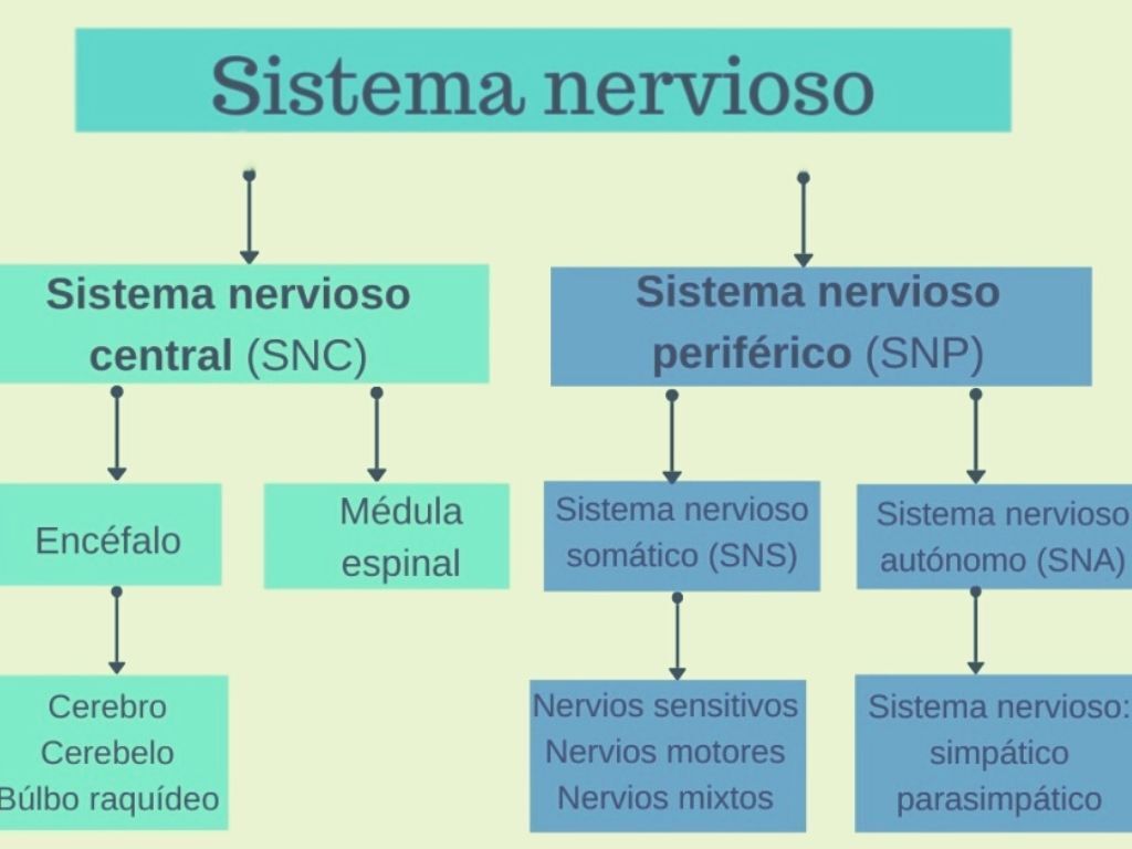 RELACIONES 5D