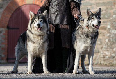 Winterfell Game of Thrones,Winterfell