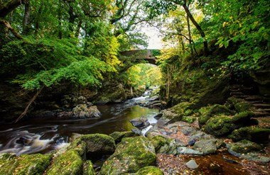 Roe Valley Park Roe Valley Park