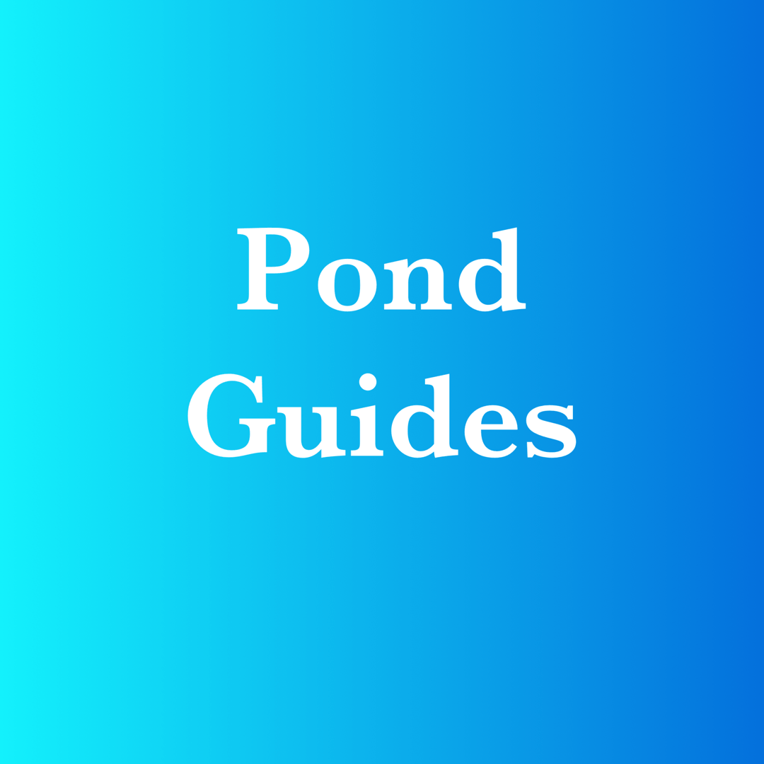 Pond Help Guides